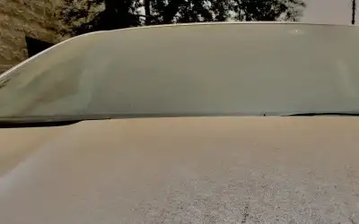 كهرباء إربد تفوزر بجائزة الملك عبدالله