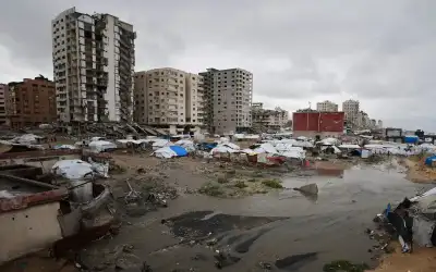 لما لا يحق لفيل أن يتجول