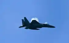 عربي ودولي ـ لوموند: الجيش الأمريكي في مأزق.. إسقاط