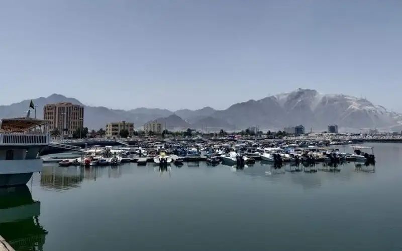 إعلام الشارقة: الجهات المختصة تتعامل مع