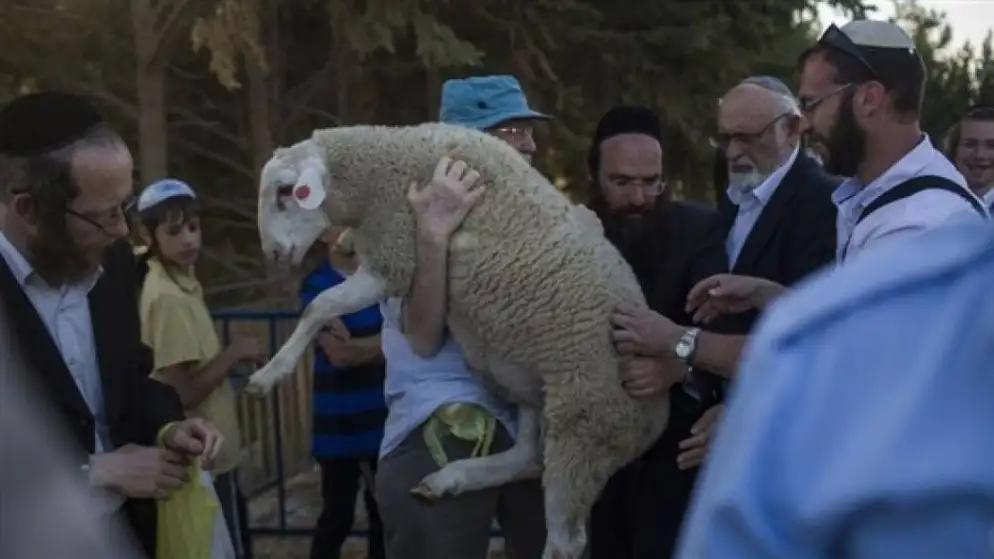 الأعلى منذ 1967.. . سبع محاولات