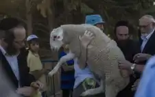 الأعلى منذ 1967.. . سبع محاولات