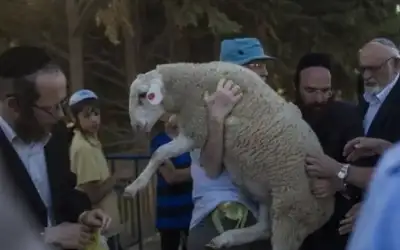 الأمن: القبض على 14 تاجرا مروجا