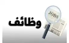 وظائف حكومية شاغرة .. ومدعوون للمقابلات