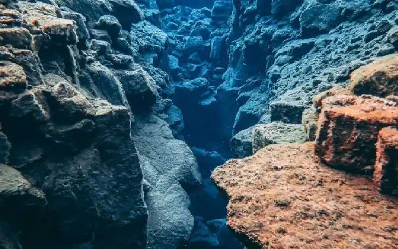 مطبخ الذهب المخفي … أين تصنع