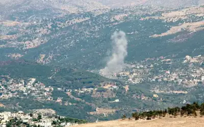 هل يساعد القمح في التحكم بمستويات