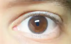 الولايات المتحدة.. سحب ملايين قطرات الstrongعيstrongن