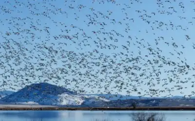 6 أيام من الاحتجاجات .. ترامب