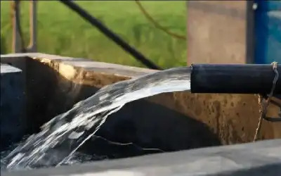 ليس من الديناصورات.. من أين أتى