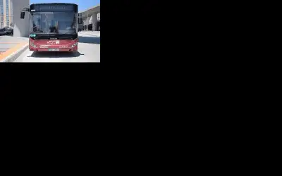 ابحث عن اسمك .. ديوان الخدمة