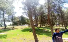 إغلاق متنزه بلدية strongجرشstrong لتنفيذ أعمال