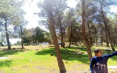 تنفيذ مشروع الناقل الوطني العام المقبل