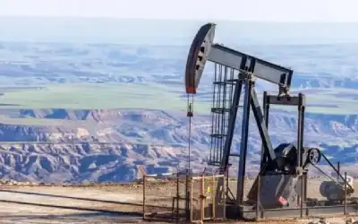 بلدية مادبا ترفع نحو 500 طن