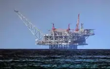 زجاجة في بركة .. كيف ردت