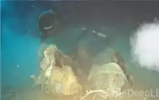 رعب في الأعماق.. علماء يلقون بقرة