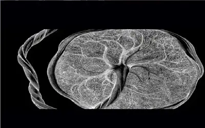 نعي الحاجة عدلة سليمان مرعي كريشان