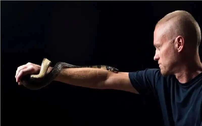 200 لدغة تقود لاكتشاف طبي.. ستيني