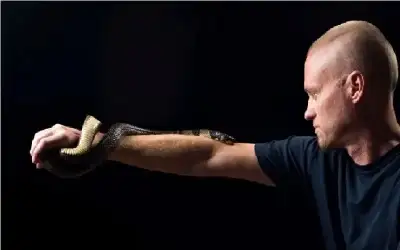 الحملة بدأت.. 15 دينارا مخالفة عدم