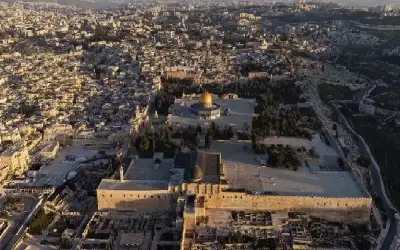 صحيفة نيسان ـ بعد 5 أسابيع من الإغلاق.. 100