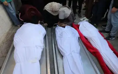 ماذا يفيد قشر الرمان