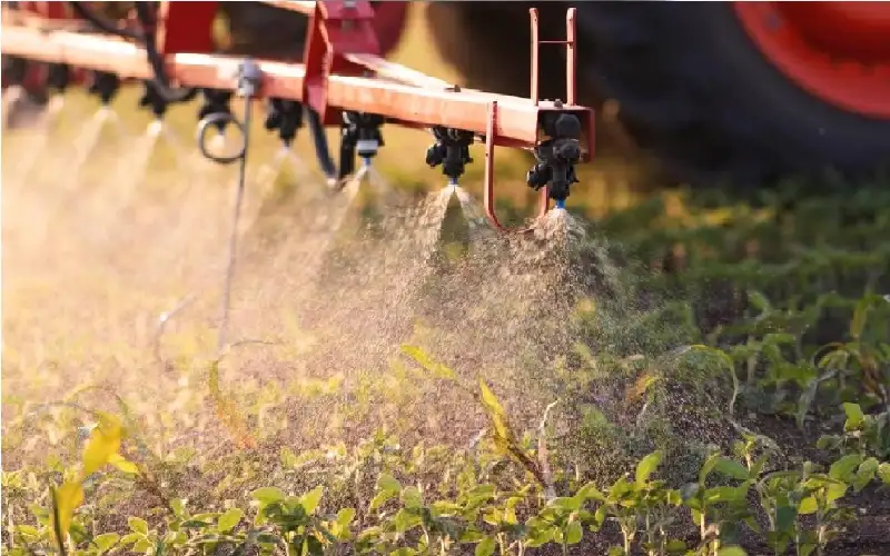 خطر في كل وجبة.. سبب خفي