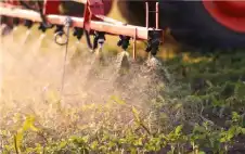 خطر في كل وstrongجبةstrong.. سبب خفي