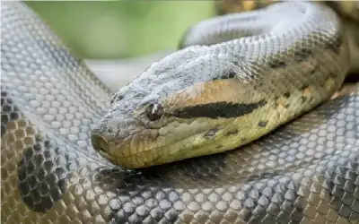 توقع انتهاء أعمال مشروع تلفريك عجلون