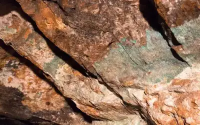 أمراض عضوية تنتج عن الضغط العصبي