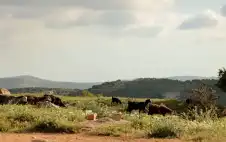 صحيفة نيسان ـ طقس مشمس الاثنين مع بدء سلسلة