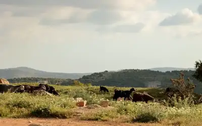 الأردن ـ طقس مشمس الاثنين مع بدء سلسلة