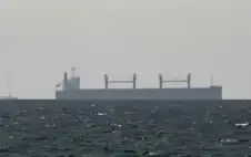 المنظمة اstrongلبstrongحرية الدولية: لا يحق لأي