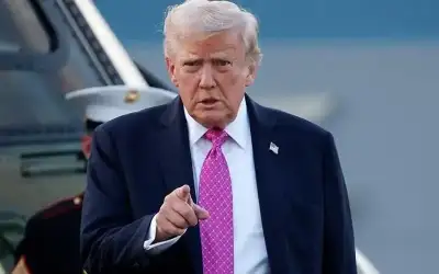 أكثر من 500 سيارة و80 دراجة