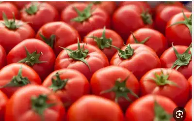 ترمب: الإيرانيون اتصلوا بنا ويريدون إبرام