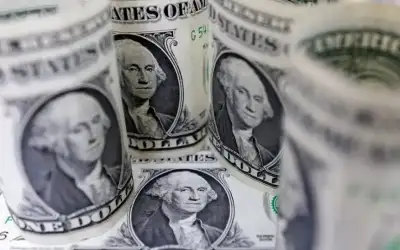 رؤساء مجالس المحافظات (اللامركزية) والمحافظون يشاركون