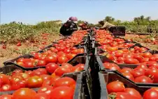 لماذا يرفع التجار الاسعار فورا ولا