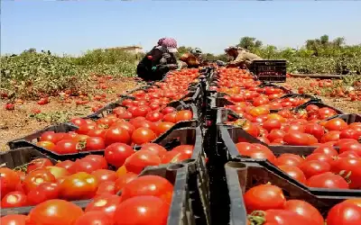 دعوات للاستيلاء على قبر يوسف