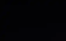 strongزيstrongن تبدأ احتفالاتها بيوم العلم بإضاءة