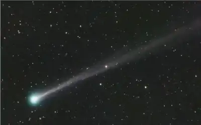 تجارة عمان تحيي يوم العلم الأردني