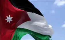 الجرائم الإلكترونية تباشر التحقيق مع سيدة