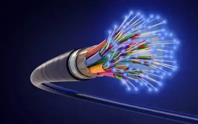 100 ألف بيضة لكل أنثى.. مشهد