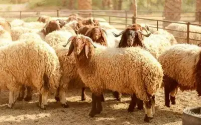 الحروب الصامتة، السيطرة على الوعي في