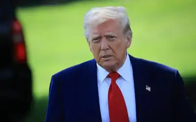 الطفل العنيد ـ بقلم: المحامي فيصل