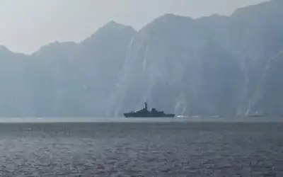 وزارة الزراعة: انخفاض أسعار اللحوم خلال