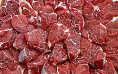 الرئيس الفنلندي يبدأ زيارة إلى الأردن