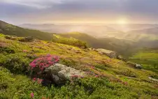 15 ألف مشارك في أردننا جنة