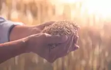 وstrongزيstrongر الزراعة: الأردن يتبنى نموذجا متوازنا