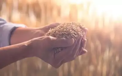 مركزية المهندسين تصادق على التقرير الإداري