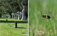 لغز بيئي جديد.. اكتشاف مدينة خفية