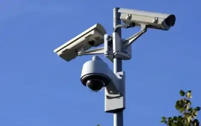 فراشة وبراءة طفل - معاذ شرايري