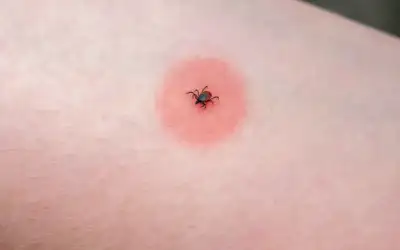 بطاقتان من دفـتـر الـحـب